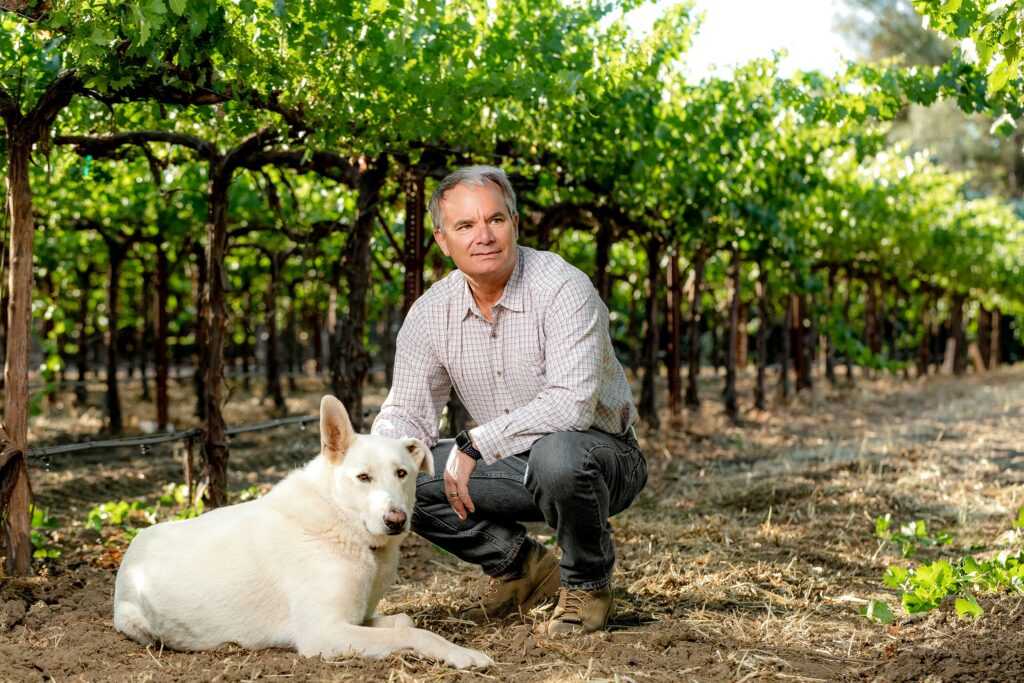 Mark and dog in the vineyard